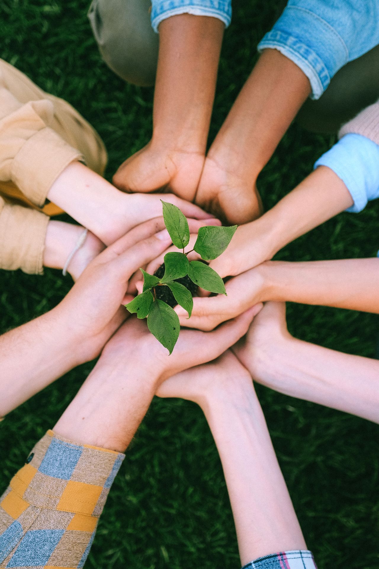 Community Service-image